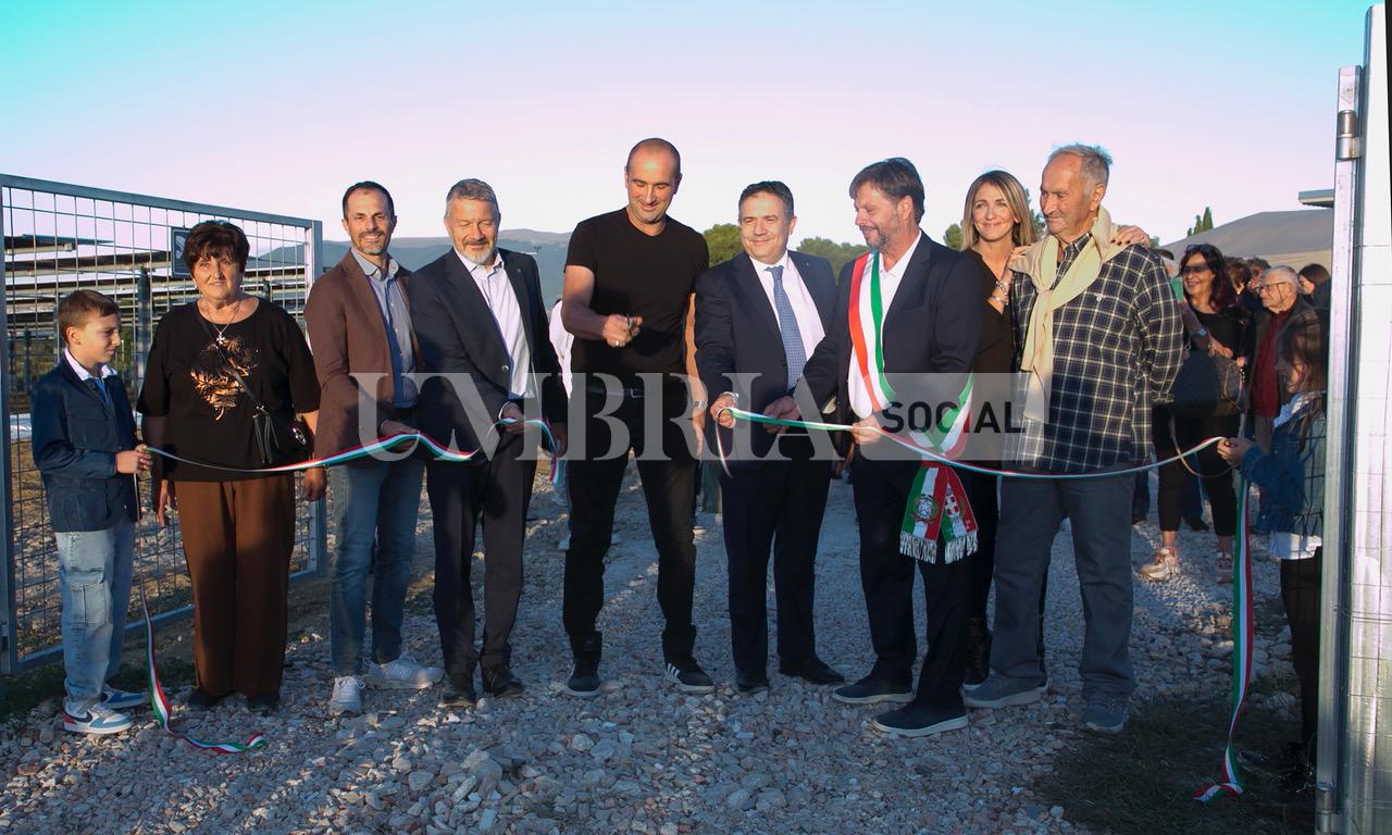 A Bettona il mirtillo cresce sotto il fotovoltaico: alla Tenuta Servettini agricoltura ed energia insieme (foto+video) 39 A Bettona il mirtillo cresce sotto il fotovoltaico: alla Tenuta Servettini agricoltura ed energia insieme (foto+video) 38