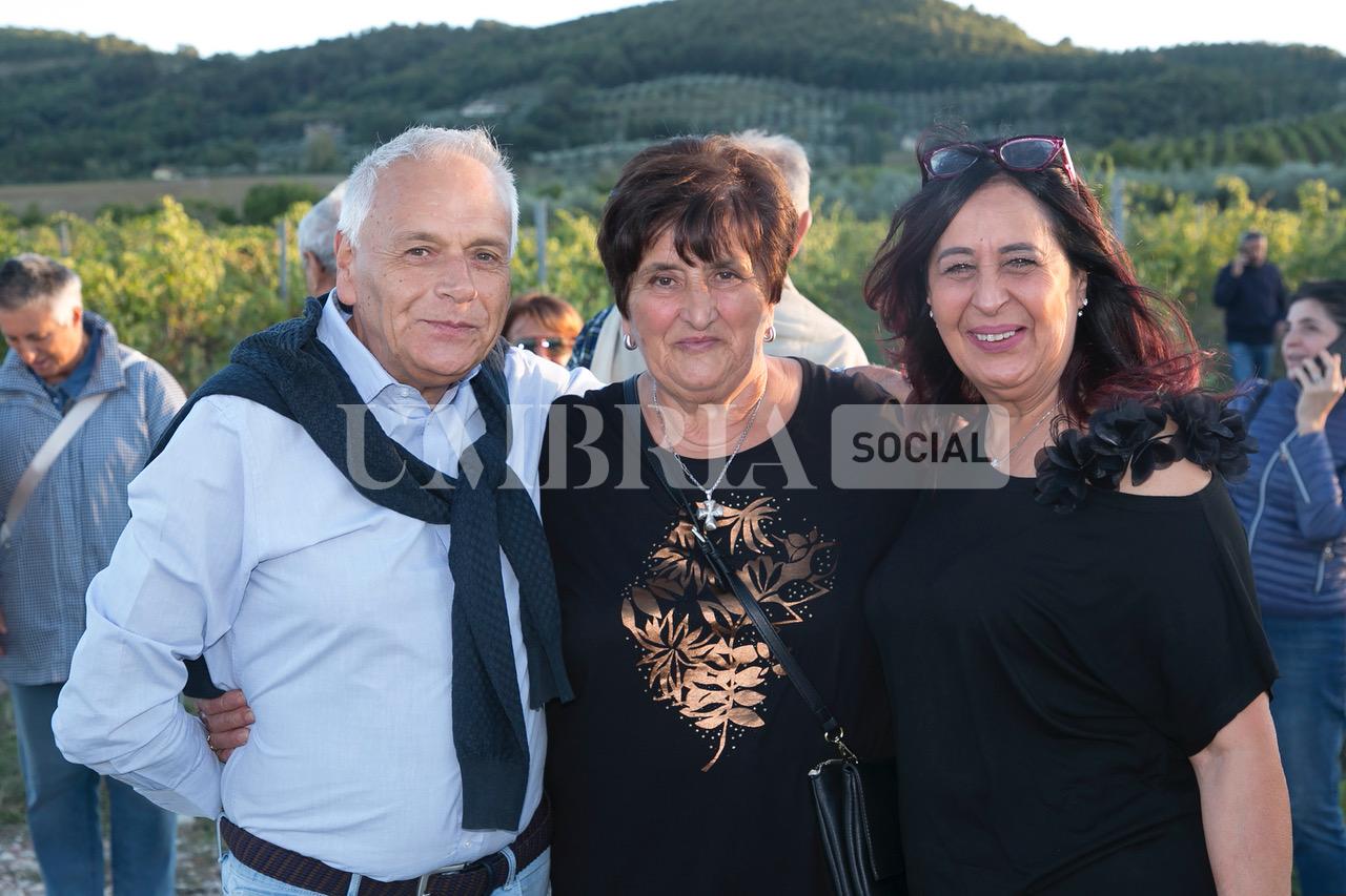 A Bettona il mirtillo cresce sotto il fotovoltaico: alla Tenuta Servettini agricoltura ed energia insieme (foto+video) 49 A Bettona il mirtillo cresce sotto il fotovoltaico: alla Tenuta Servettini agricoltura ed energia insieme (foto+video) 48