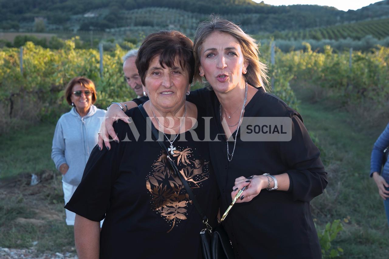 A Bettona il mirtillo cresce sotto il fotovoltaico: alla Tenuta Servettini agricoltura ed energia insieme (foto+video) 51 A Bettona il mirtillo cresce sotto il fotovoltaico: alla Tenuta Servettini agricoltura ed energia insieme (foto+video) 50