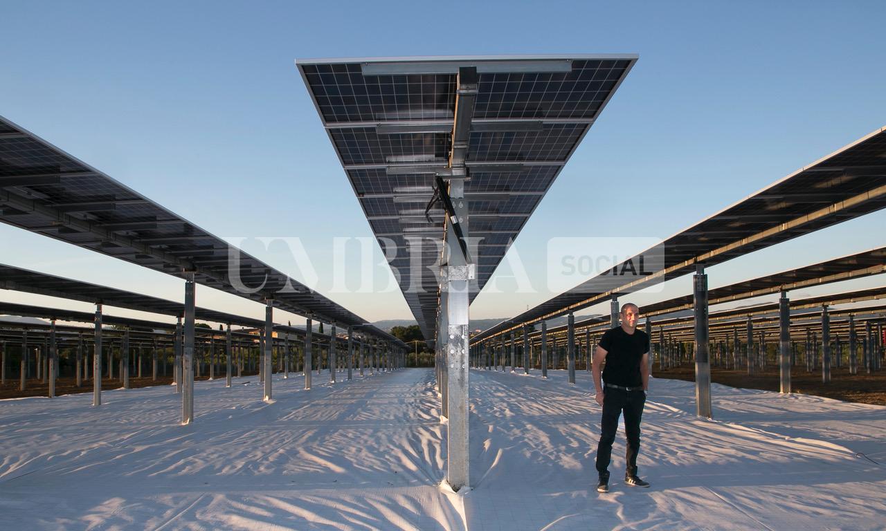 A Bettona il mirtillo cresce sotto il fotovoltaico: alla Tenuta Servettini agricoltura ed energia insieme (foto+video) 53 A Bettona il mirtillo cresce sotto il fotovoltaico: alla Tenuta Servettini agricoltura ed energia insieme (foto+video) 52