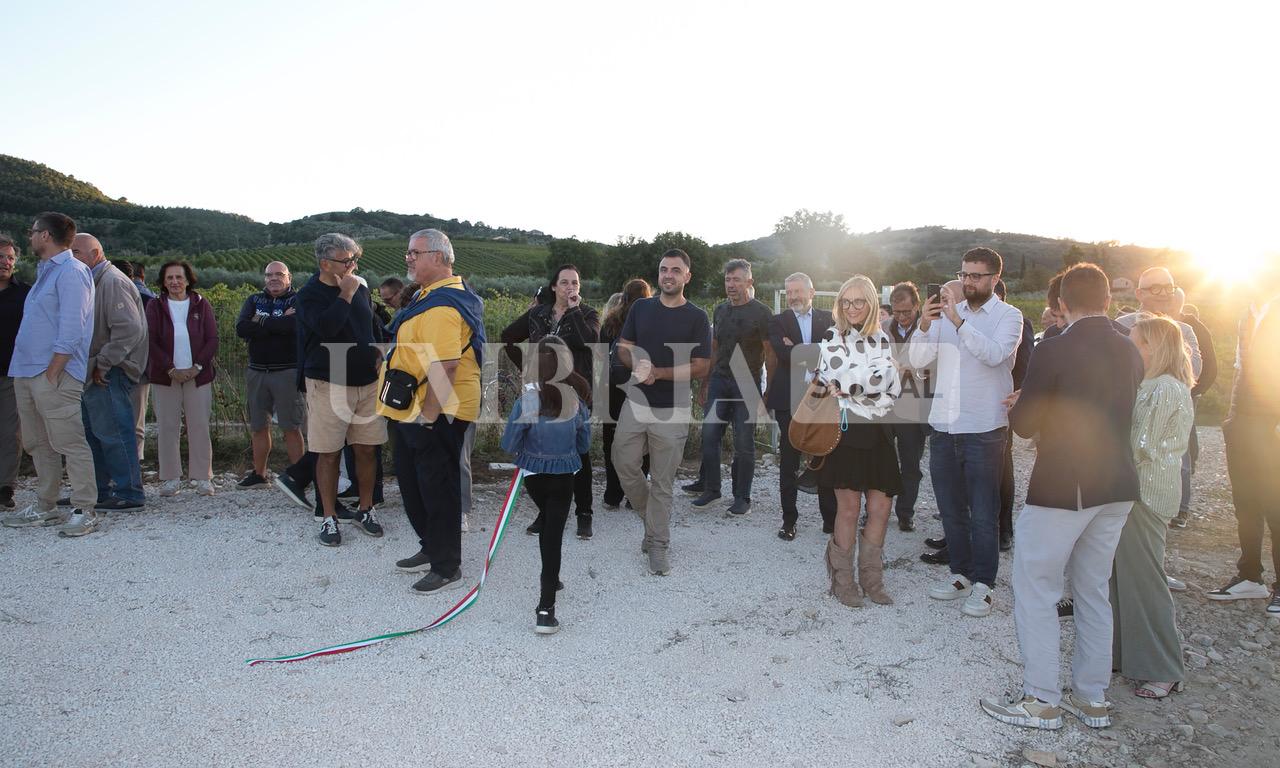A Bettona il mirtillo cresce sotto il fotovoltaico: alla Tenuta Servettini agricoltura ed energia insieme (foto+video) 61 A Bettona il mirtillo cresce sotto il fotovoltaico: alla Tenuta Servettini agricoltura ed energia insieme (foto+video) 60