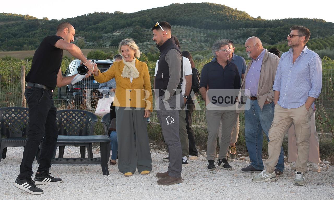 A Bettona il mirtillo cresce sotto il fotovoltaico: alla Tenuta Servettini agricoltura ed energia insieme (foto+video) 63 A Bettona il mirtillo cresce sotto il fotovoltaico: alla Tenuta Servettini agricoltura ed energia insieme (foto+video) 62