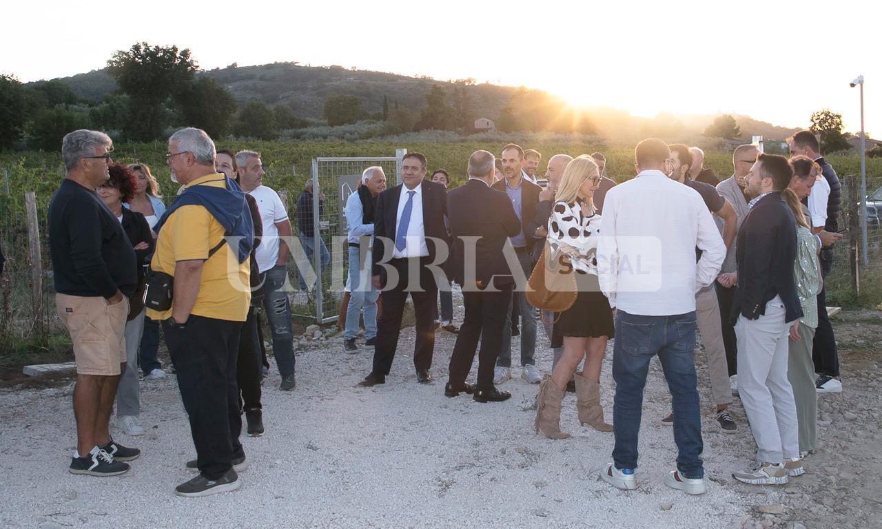 A Bettona il mirtillo cresce sotto il fotovoltaico: alla Tenuta Servettini agricoltura ed energia insieme (foto+video) 67 A Bettona il mirtillo cresce sotto il fotovoltaico: alla Tenuta Servettini agricoltura ed energia insieme (foto+video) 66
