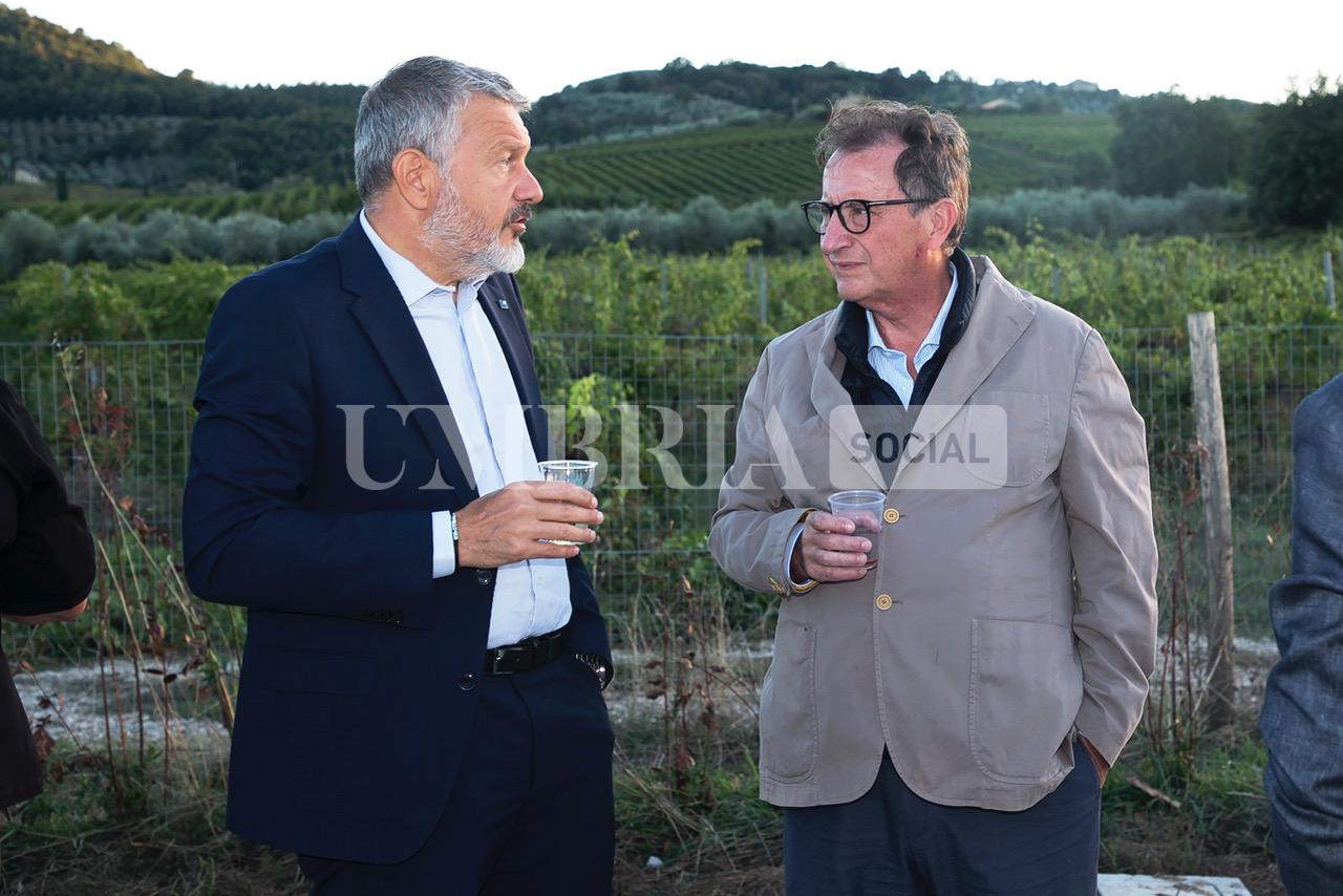 A Bettona il mirtillo cresce sotto il fotovoltaico: alla Tenuta Servettini agricoltura ed energia insieme (foto+video) 71 A Bettona il mirtillo cresce sotto il fotovoltaico: alla Tenuta Servettini agricoltura ed energia insieme (foto+video) 70
