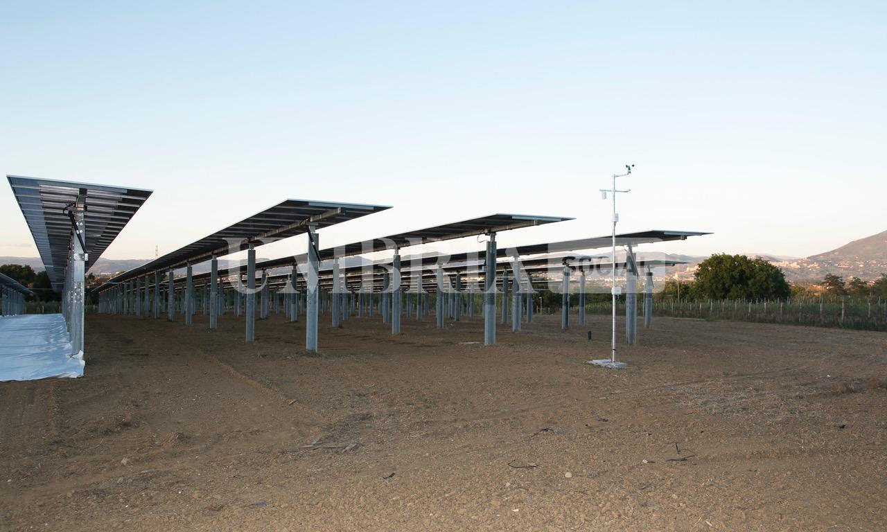 A Bettona il mirtillo cresce sotto il fotovoltaico: alla Tenuta Servettini agricoltura ed energia insieme (foto+video) 77 A Bettona il mirtillo cresce sotto il fotovoltaico: alla Tenuta Servettini agricoltura ed energia insieme (foto+video) 76