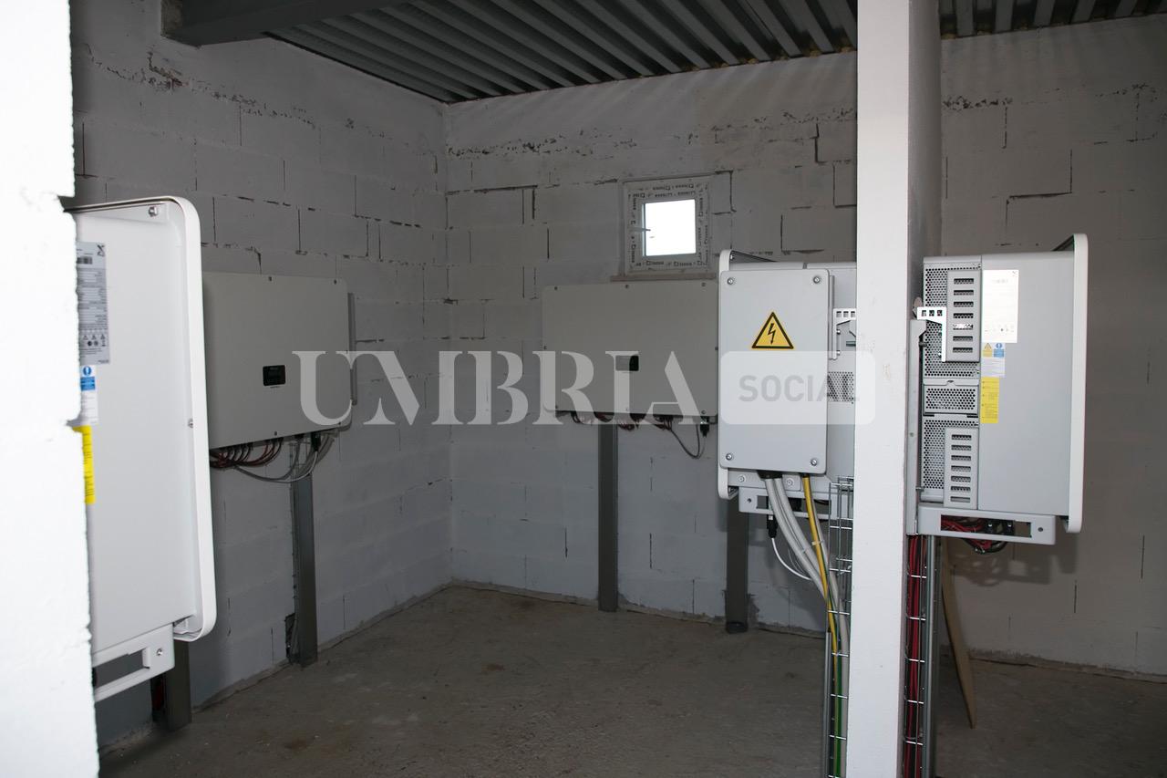 A Bettona il mirtillo cresce sotto il fotovoltaico: alla Tenuta Servettini agricoltura ed energia insieme (foto+video) 83 A Bettona il mirtillo cresce sotto il fotovoltaico: alla Tenuta Servettini agricoltura ed energia insieme (foto+video) 82