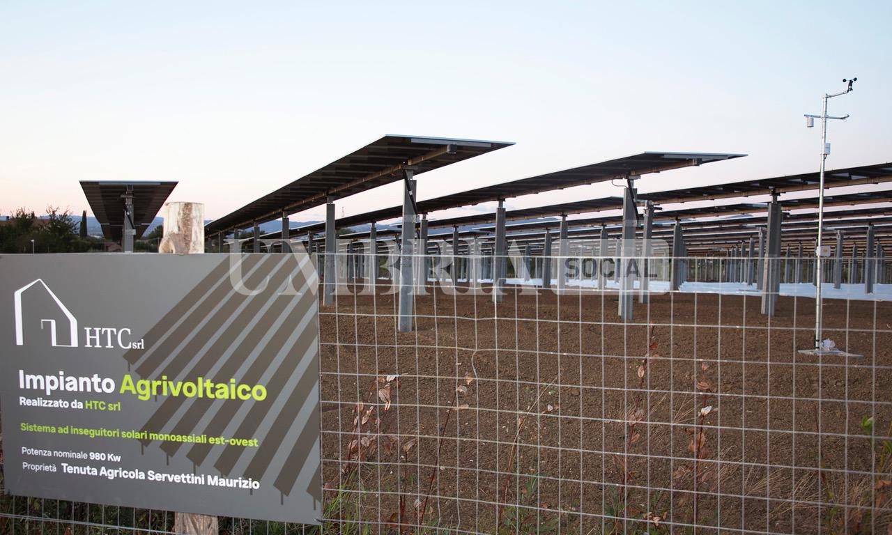 A Bettona il mirtillo cresce sotto il fotovoltaico: alla Tenuta Servettini agricoltura ed energia insieme (foto+video) 89 A Bettona il mirtillo cresce sotto il fotovoltaico: alla Tenuta Servettini agricoltura ed energia insieme (foto+video) 88