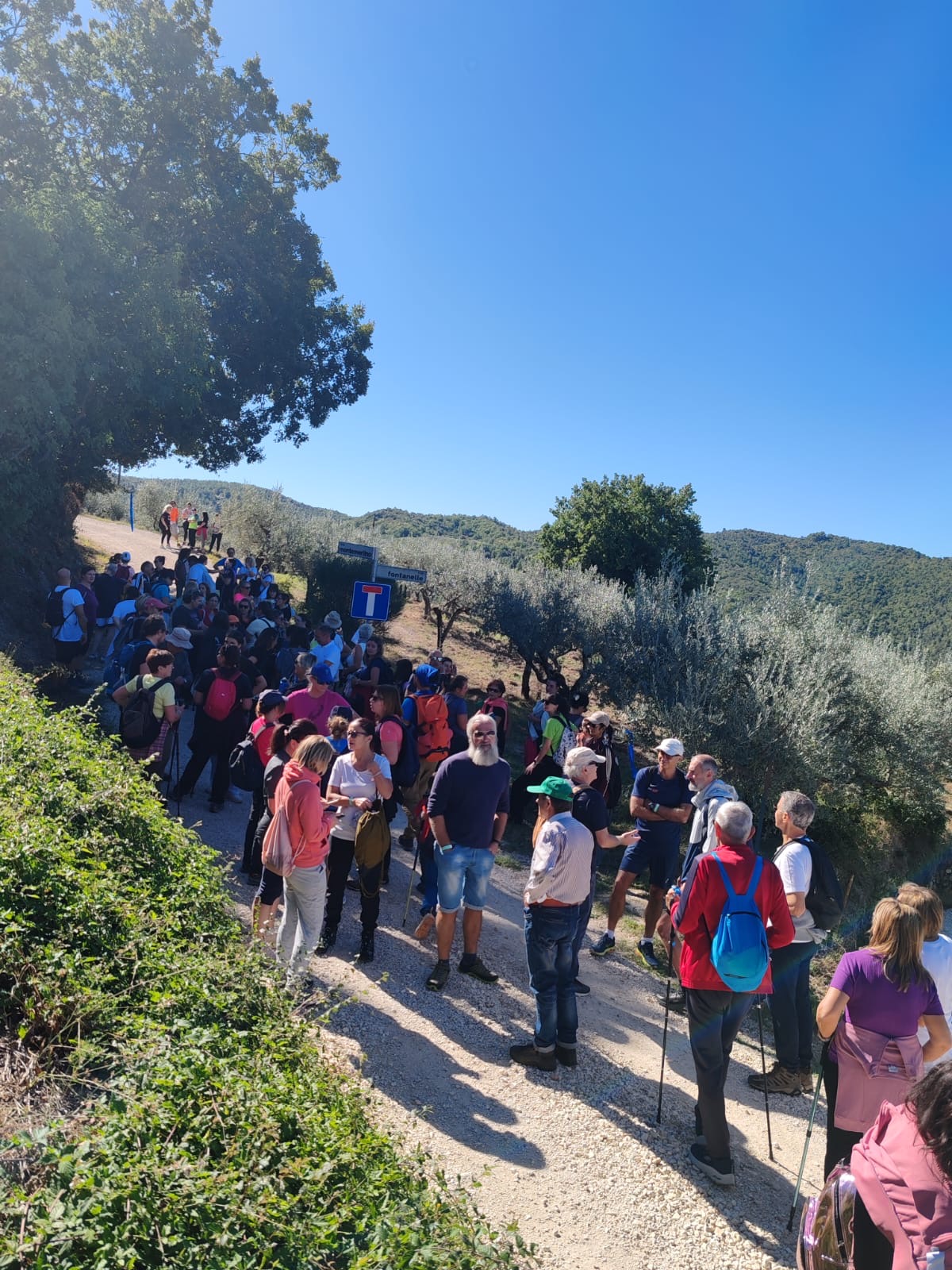 L’energia di Umbria Crossing conquista Bettona: sport, solidarietà e un grande abbraccio per la Pediatria di Perugia (foto) 24 L’energia di Umbria Crossing conquista Bettona: sport, solidarietà e un grande abbraccio per la Pediatria di Perugia (foto) 23