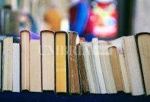 Cultura, 1 milione e 500mila euro per musei, biblioteche e archivi: "Investiamo in progetti triennali" 29