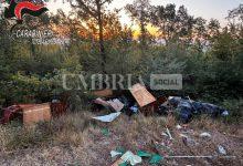 Cambia i mobili della casa nuova e getta i vecchi nel bosco: arriva una maximulta 71