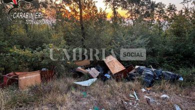 Cambia i mobili della casa nuova e getta i vecchi nel bosco: arriva una maximulta 4 Cambia i mobili della casa nuova e getta i vecchi nel bosco: arriva una maximulta 3