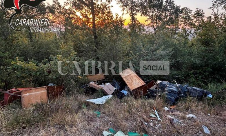 Cambia i mobili della casa nuova e getta i vecchi nel bosco: arriva una maximulta 2 Cambia i mobili della casa nuova e getta i vecchi nel bosco: arriva una maximulta 1