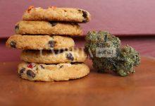Dolci all’hashish tra studenti a Perugia: cinque giovani finiscono in ospedale 4 Dolci all’hashish tra studenti a Perugia: cinque giovani finiscono in ospedale 3