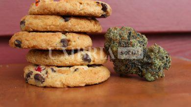 Dolci all’hashish tra studenti a Perugia: cinque giovani finiscono in ospedale 35 Dolci all’hashish tra studenti a Perugia: cinque giovani finiscono in ospedale 34