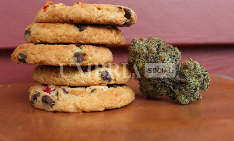 Dolci all’hashish tra studenti a Perugia: cinque giovani finiscono in ospedale 2 Dolci all’hashish tra studenti a Perugia: cinque giovani finiscono in ospedale 1